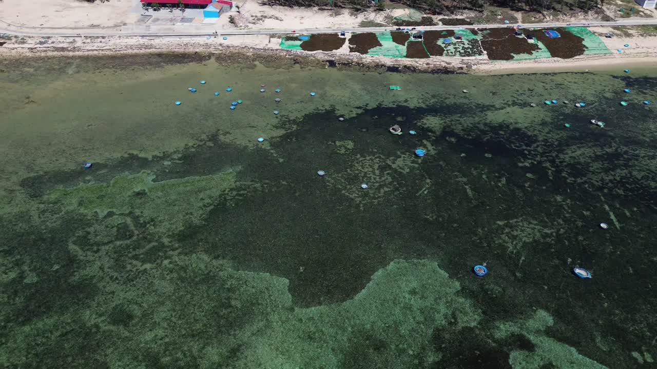 A wide aerial pan left view capturing traditional Vietnamese round basket boats near the shore of the fishing village in Ninh Hải, Vietnam.
