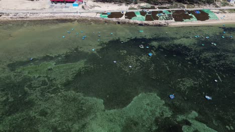 a wide aerial pan left view capturing traditional vietnamese round basket boats near the shore of the fishing village in ninh hải, vietnam.