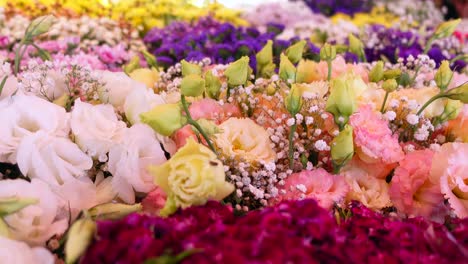 vibrant colorful flowers arrangement