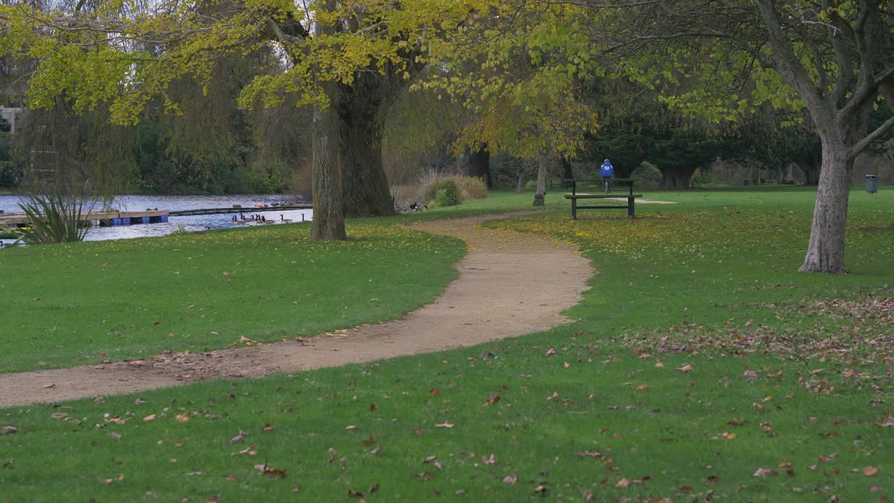 escena otoñal con ciclista en la distancia a través de una pasarela curva alrededor de una laguna residencial
