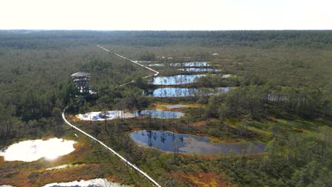 stunning aerial flight over group of small lakes inside natural forest