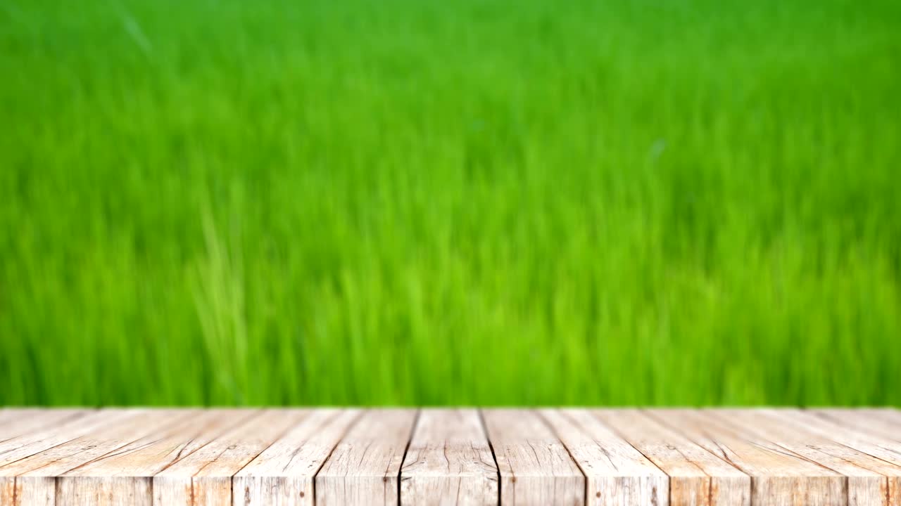 4K Wood floor against nature green field abstract background