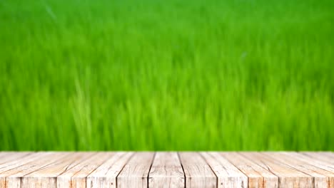 4k wood floor against nature green field abstract background