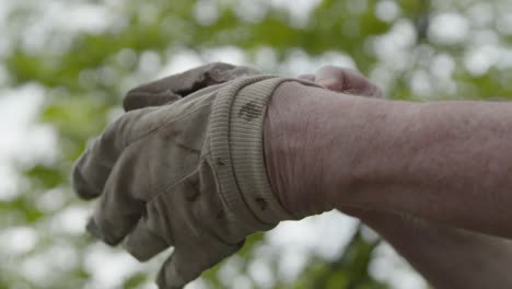 primer plano de la mano poniéndose un guante de jardín