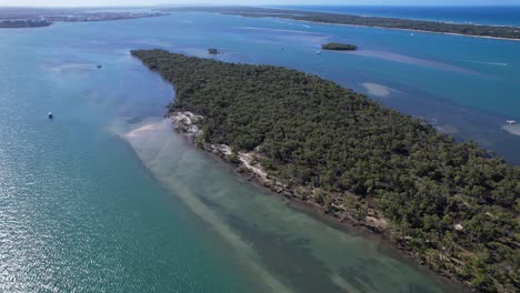 denso matorral de isla de cangrejo cerca de los suburbios de runaway bay y hollywell en queensland, australia