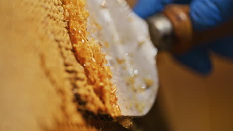 the beekeeper gently removes beeswax