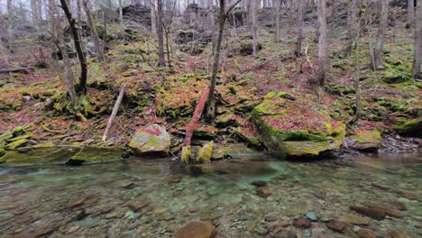 Beautiful-lush,-mossy-stream-in-the-Appalachian-Mountains-on-a-rainy,-early-spring-day