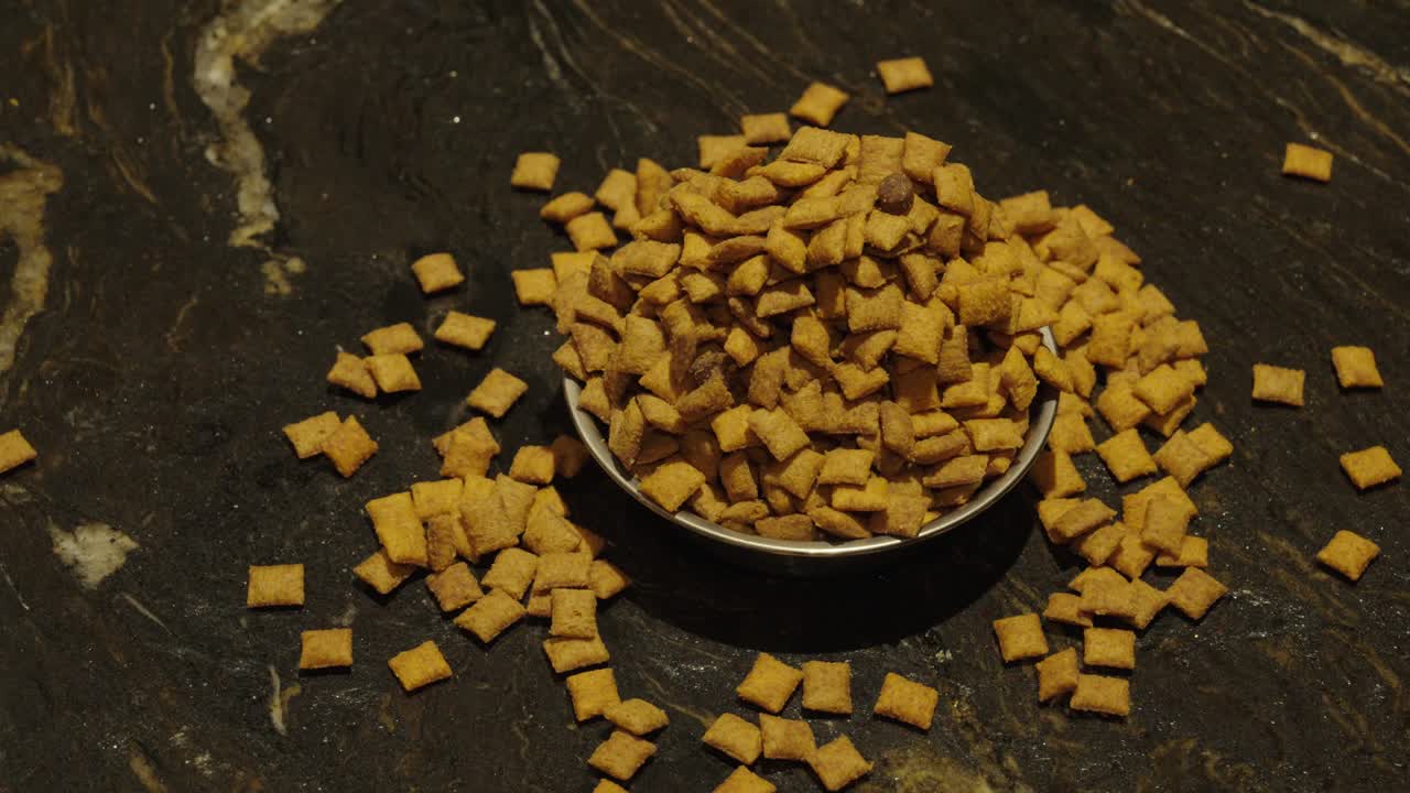 A bowl is being overfilled with pet food, symbolizing unhealthy feeding habits, obesity, and the importance of balanced nutrition for animals