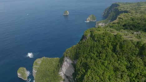 acantilado con muchos árboles, filmado con un avión no tripulado, indonesia