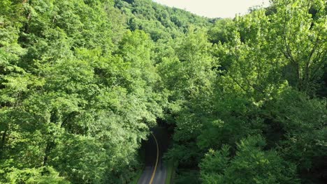 Día-De-Diversión-En-La-Montaña-Humeante-En-Tennessee