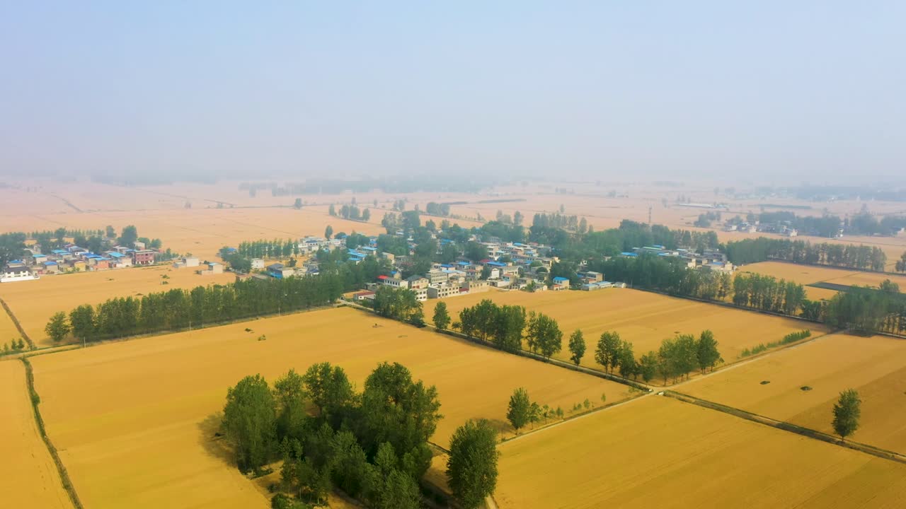 Aerial view of a small, rural village in China's Bozhou, Anhui province, surrounded by vast golden agricultural fields and trees under a hazy sky