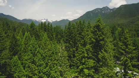 picturesque aerial view revealing scenic capilano lake in north vancouver, british columbia