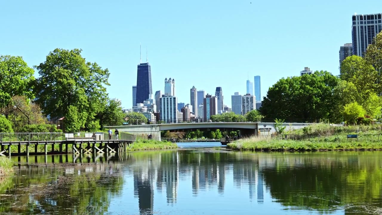 Vista do horizonte da cidade a partir de um parque, com um rio e uma ponte, em um dia claro e ensolarado em Chicago, mostrando edifícios e árvores em primeiro plano.
