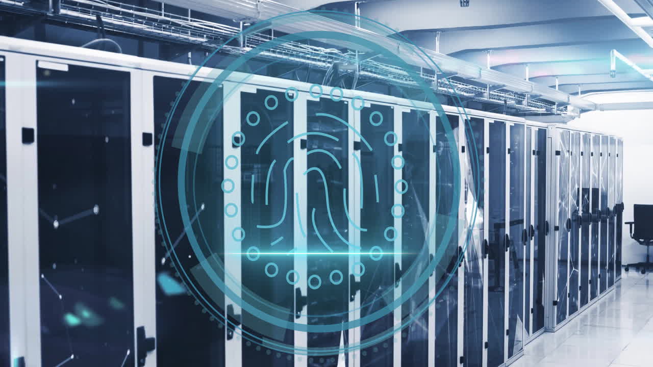Animation of biometric fingerprint and digital data processing over computer servers