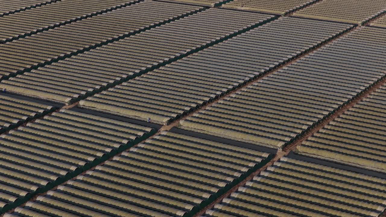 Greenhouses proliferation in the iberian peninsula drone zoom lens