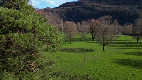 Drone-clip-moving-through-neat-and-well-kept-garden-with-many-tall-trees-and-lush-green-lawn