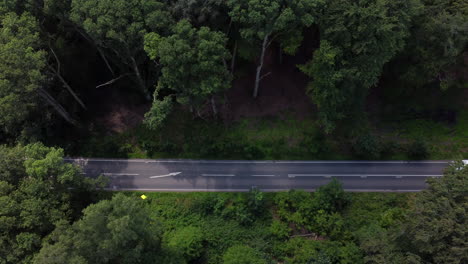 coches que pasan por una carretera que atraviesa un bosque en worcestershire, inglaterra