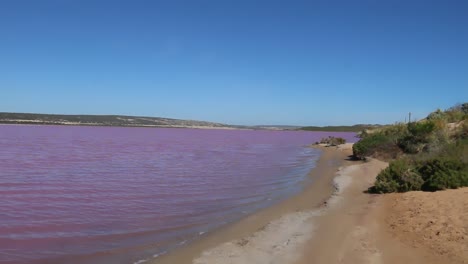 hutt lagoon pink lake panoramic, kalbarri, western australia