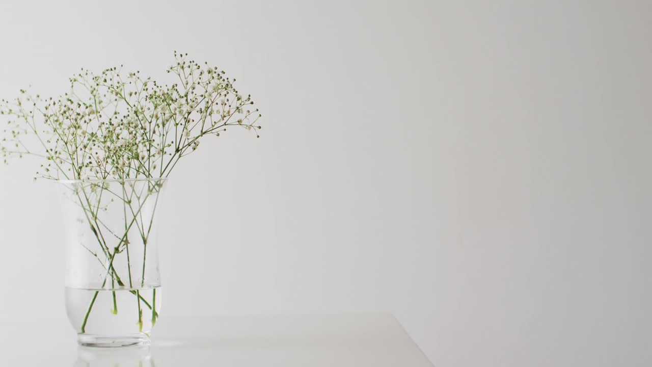 Video of white flowers in glass vase with copy space on white background