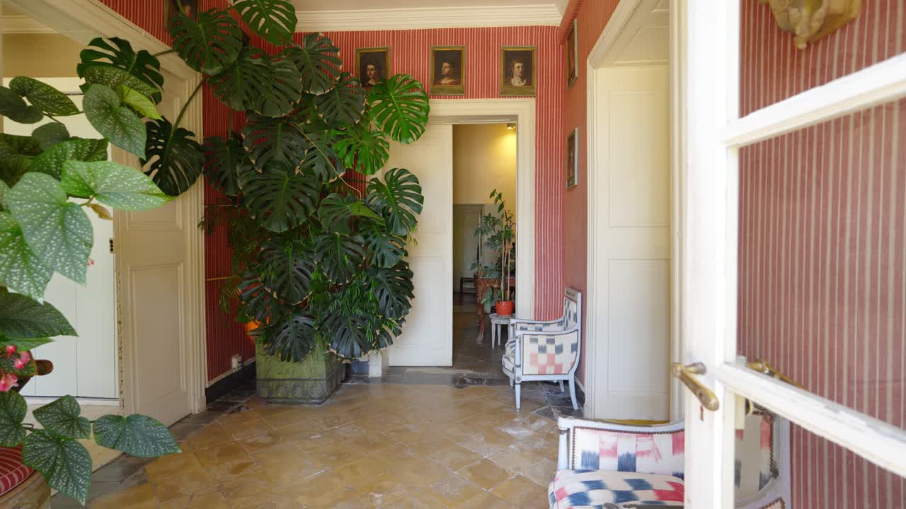 프랑스 의 초록색 가정용 식물 로 가득 찬 현대적 인 집 의 내부