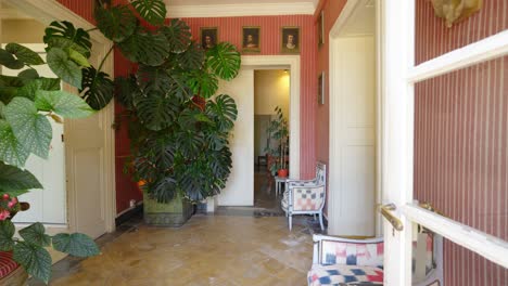 interiores de casas modernas llenas de plantas domésticas verdes en francia