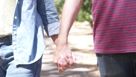 close up of couple walking hand in hand along woodland path