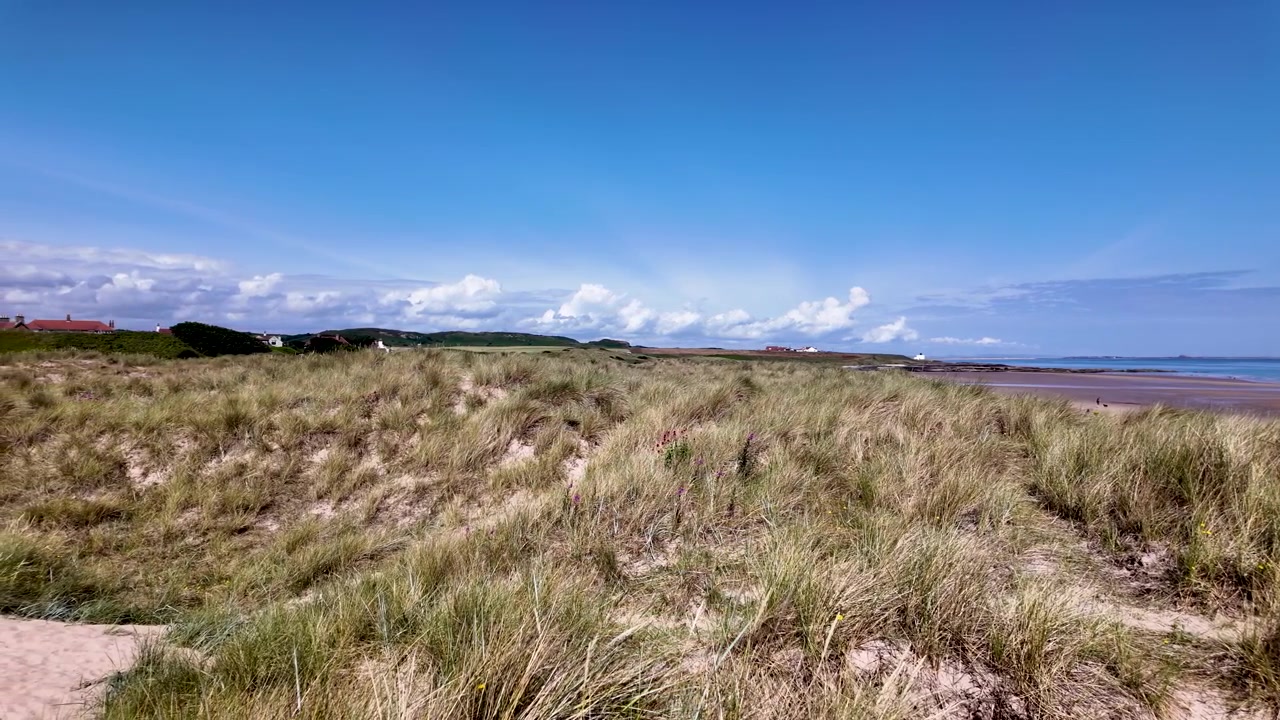 Panoramaudsigt over sandklitter med højt græs, der blæser i vinden, på en solskinsdag ved Bamburgh Strand