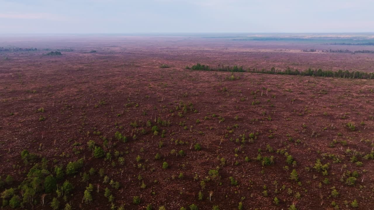 Large plan aérien en retrait révélant la zone marécageuse isolée de Rucava Nida, Lettonie, nature