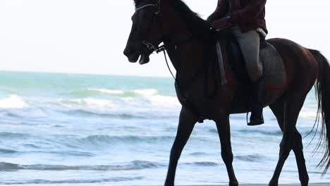 rider and horse silhouette against ocean backdrop.