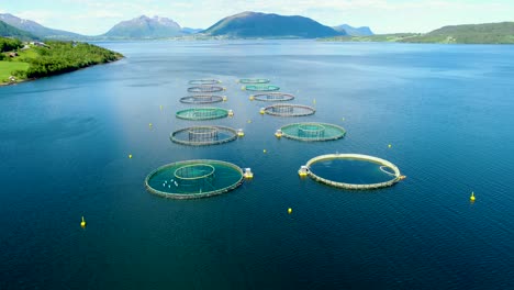 imágenes aéreas de granjas de pesca de salmón en noruega