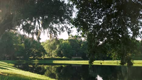 mañana en el estanque inferior con robles y musgo español en middleton place en charleston, carolina del sur