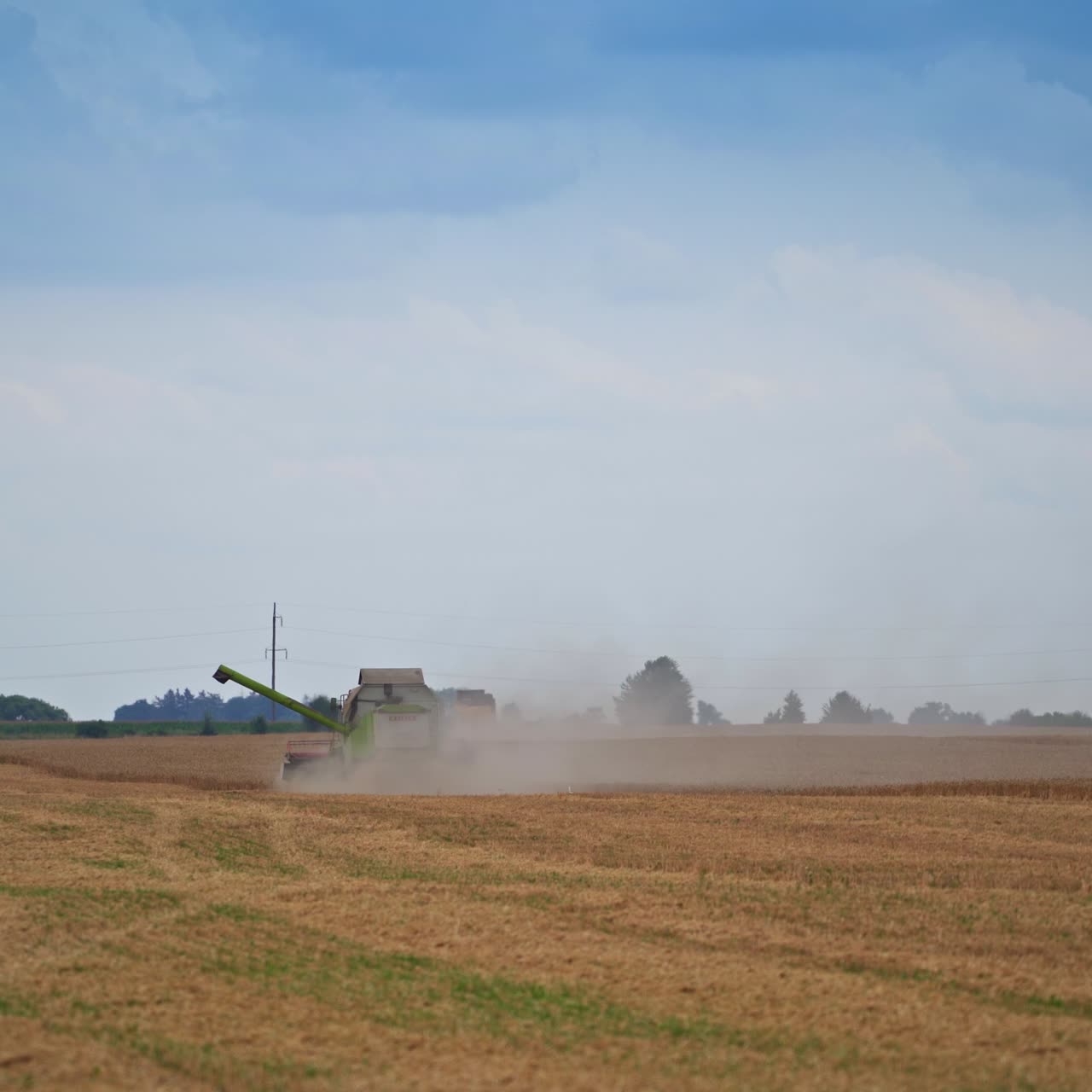 Harvesting machine moving slowly across the field in the cloud of dust. Graceful stork following the machine. Cut field at the foreground