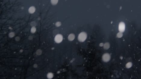 slow-motion left to right panning shot of snow falling in the evening with snow-topped trees in the background