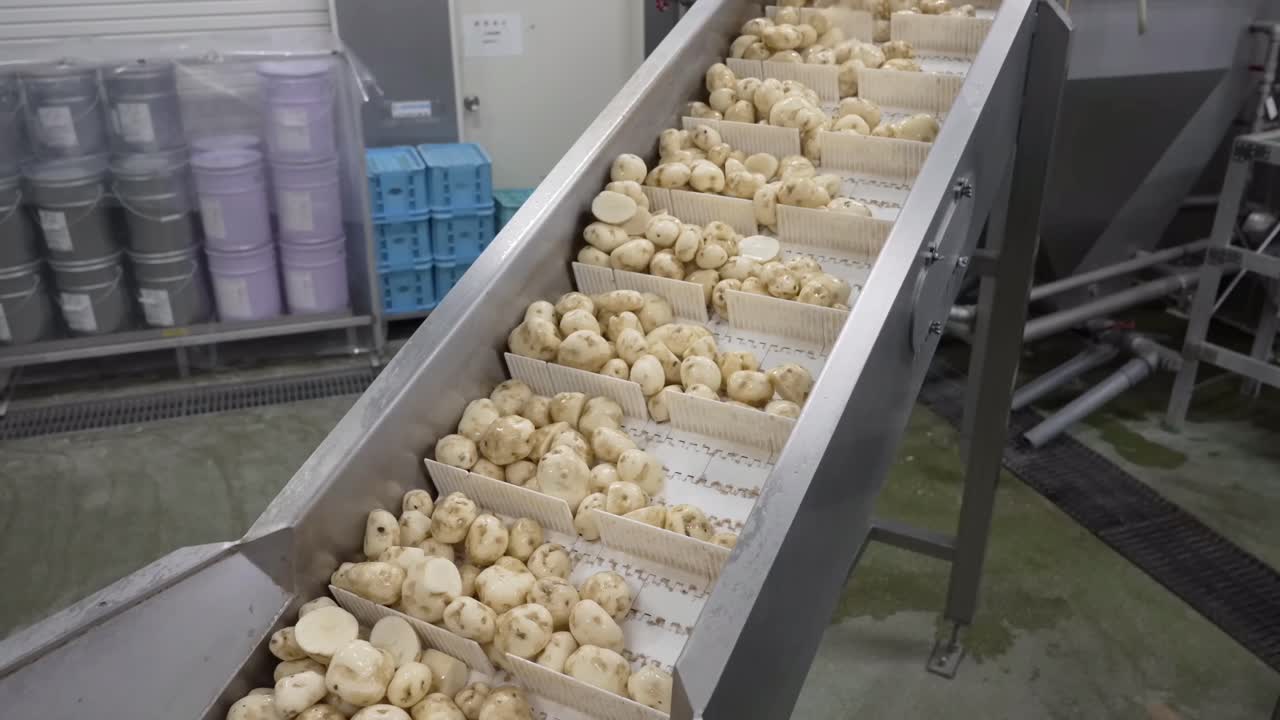 las patatas se mueven en un transportador