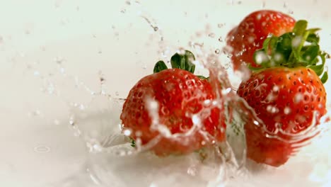 Strawberries-falling-on-water-against-white-background-4k