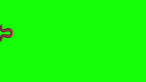 worm on green, 3d animation