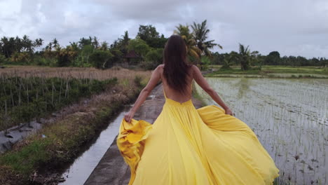 Woman in a yellow dress walking through a rice paddy