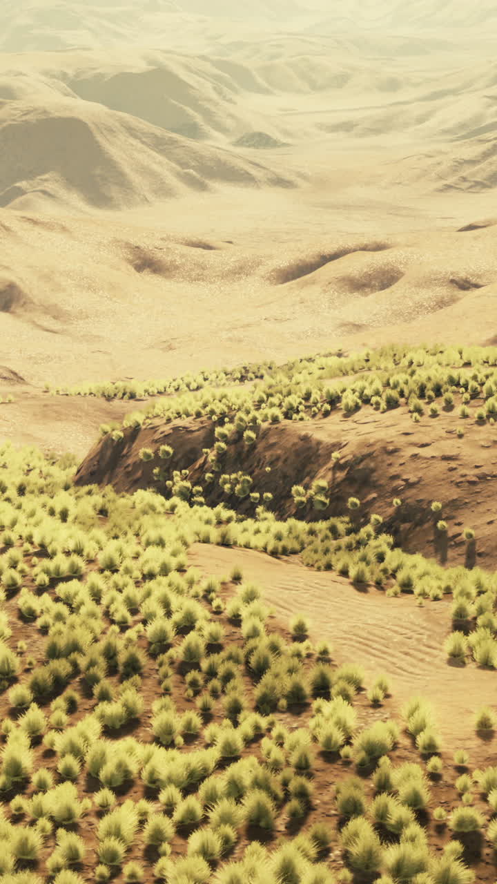 희박 한 식물 이 있는 사막 풍경 의 공중 사진