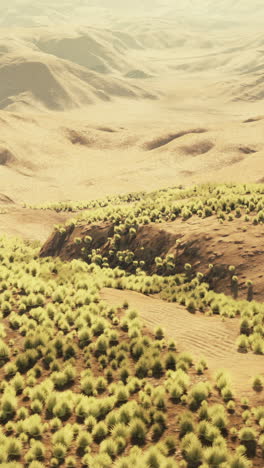aerial view of a desert landscape with sparse vegetation