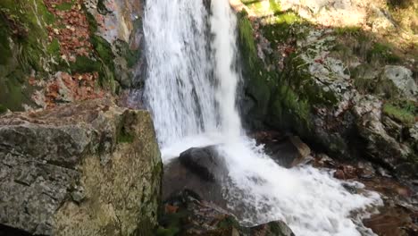 Cascadas-De-Todos-Los-Santos-En-La-Selva-Negra,-Alemania---Inclinar-Hacia-Arriba