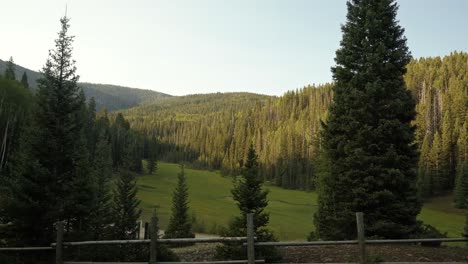 beautiful tilt up shot of a gorgeous stunning green meadow in the middle of a large pine tree forest up in the mountains with a wooden fence on a warm sunny summer day up beaver canyon in utah