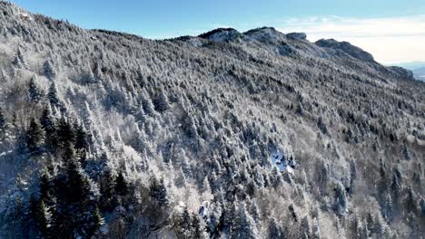 rime ice on grandfather mountain nc, north carolina