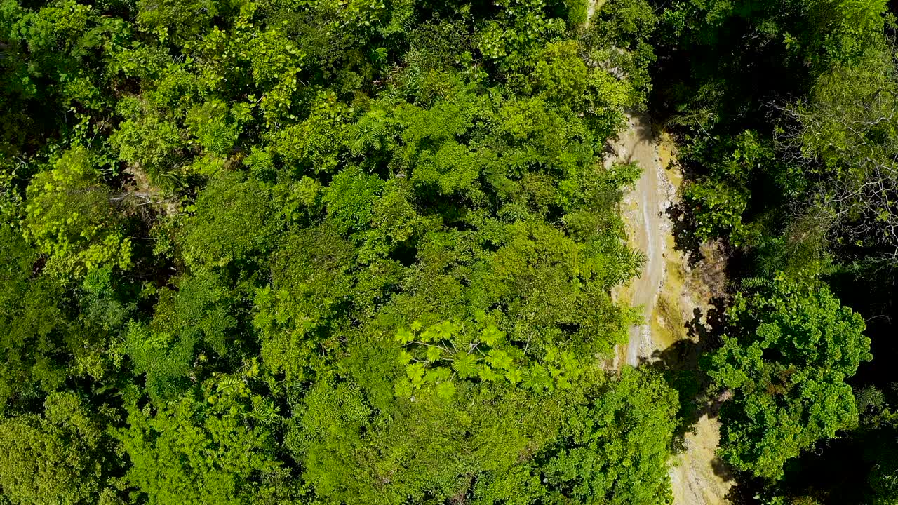 toma aérea pov en movimiento lento de un río que serpentea a través de la espesa y exuberante jungla tropical de bohol, filipinas