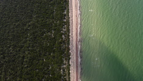 Bewaldeter,-Flacher-Und-Sandiger-Strand-Entlang-Der-Karibikküste-Mit-Grünem-Meer