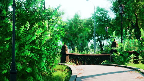 Paisaje-De-Carretera-De-Parque-Forestal-En-Campo-Verde