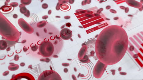 animación de covid-19 y glóbulos rojos y procesamiento de datos