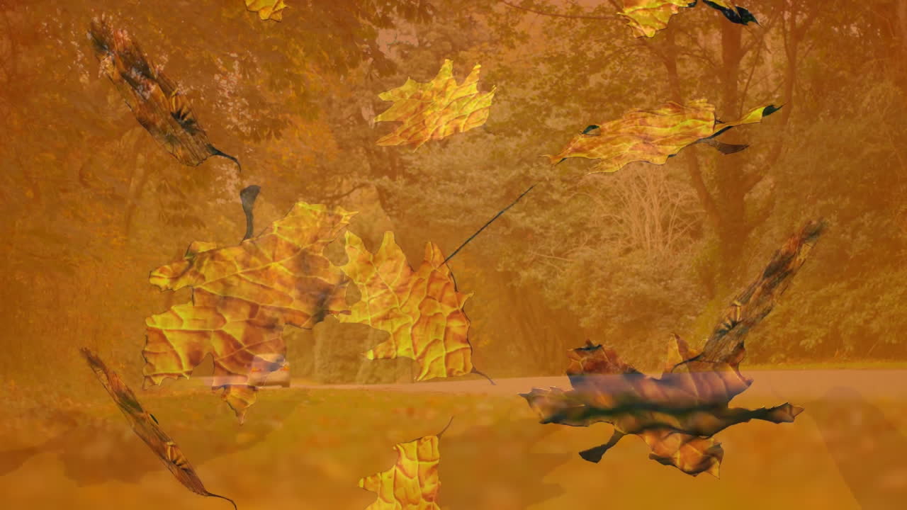 Autumn leaves falling in forest with blurred background, creating serene atmosphere