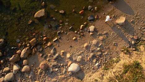 A-girl-in-a-white-dress-walks-along-the-sandy-beach-close-to-the-shore-on-sunrise,-navigating-between-the-stones-lying-on-the-sand---top-down-aerial