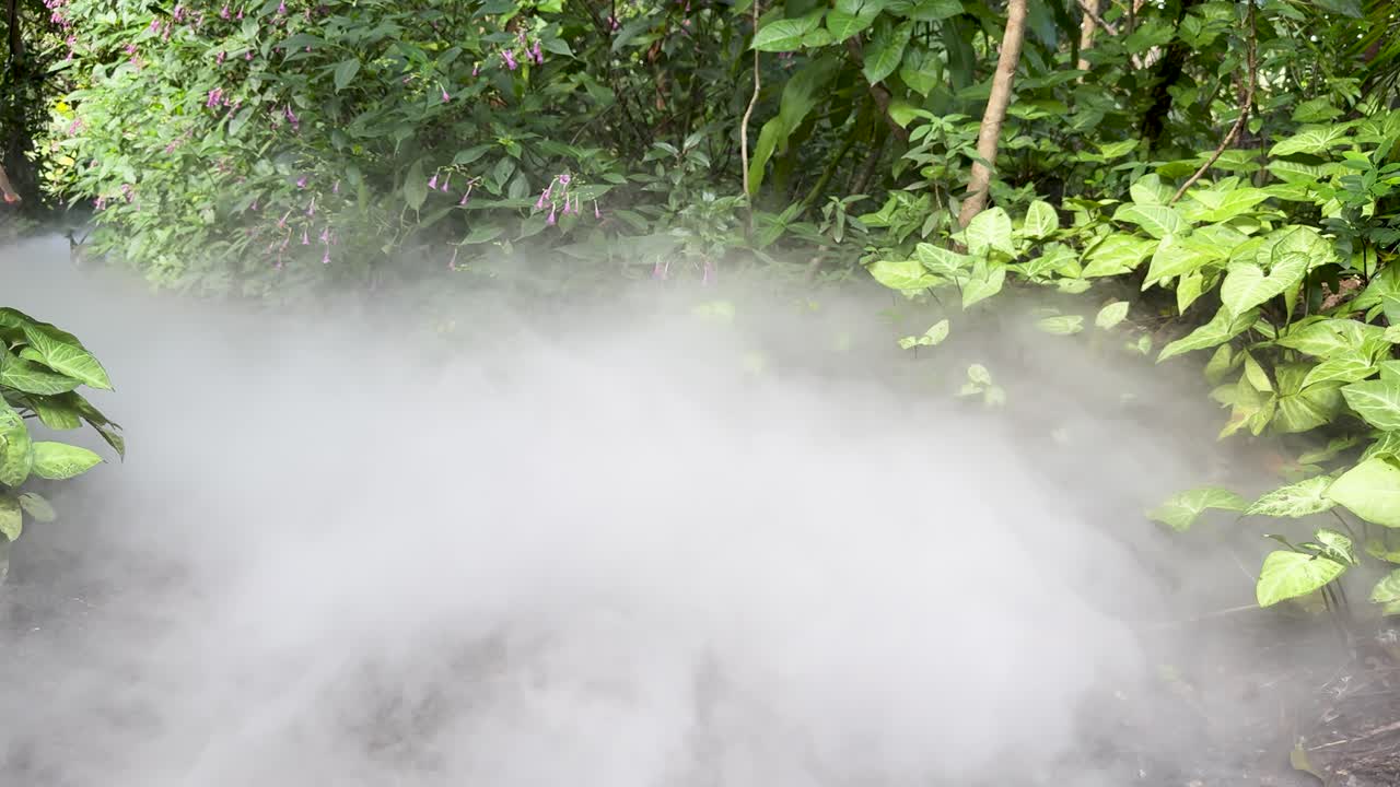 Young girl in pink dress runs through dense garden mist, natural lighting, handheld camera movement