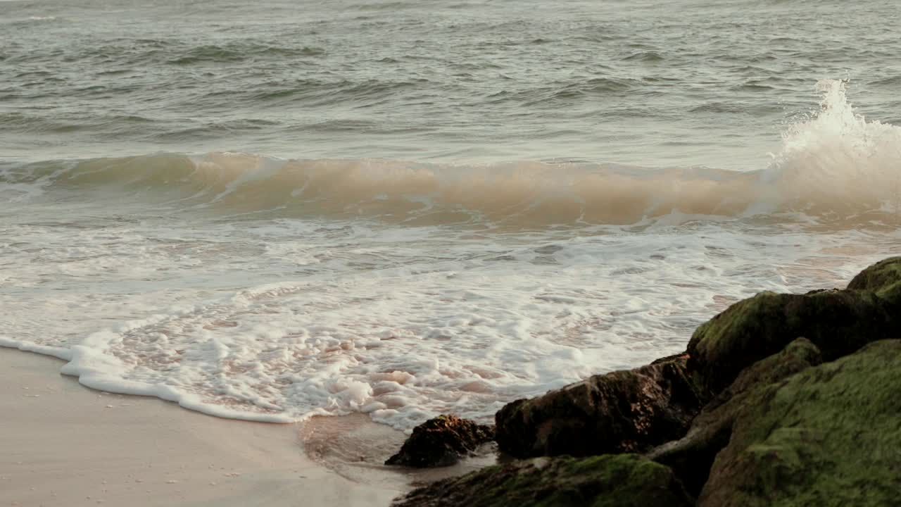 gentle waves washing over sandy beach with mossy rocks in soft evening light